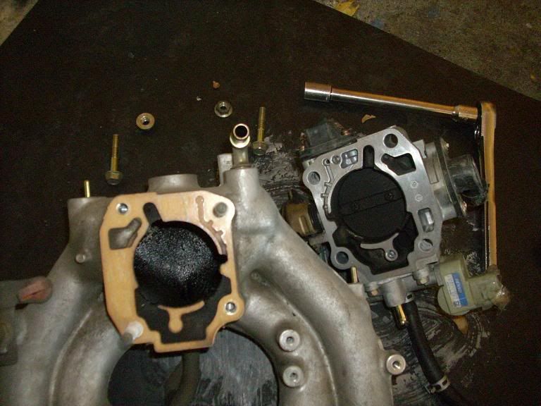 My y7 to y8 Intake Manifold Swap (pics) Honda D Series Forum